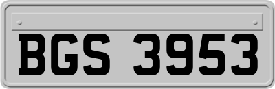 BGS3953