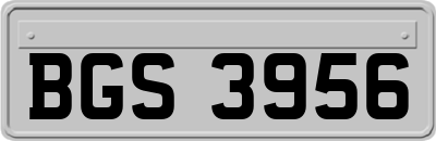BGS3956