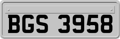BGS3958