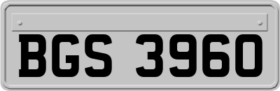 BGS3960