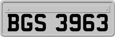 BGS3963