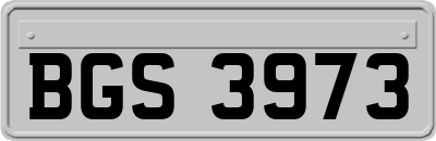 BGS3973