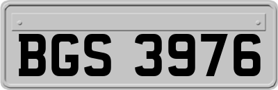 BGS3976