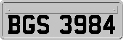 BGS3984