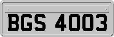 BGS4003
