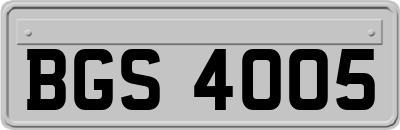 BGS4005