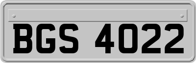 BGS4022
