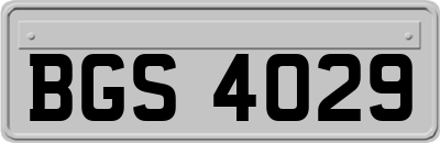 BGS4029