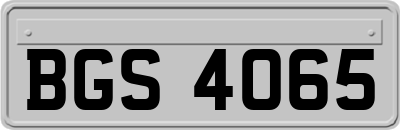BGS4065