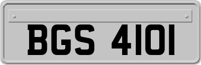 BGS4101