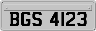 BGS4123