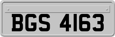 BGS4163