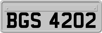 BGS4202