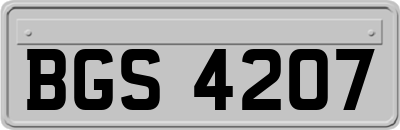 BGS4207