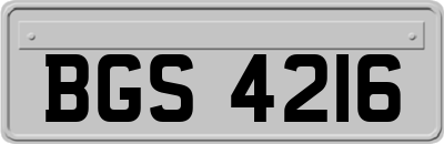 BGS4216