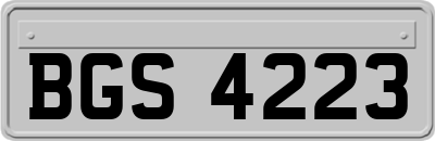 BGS4223
