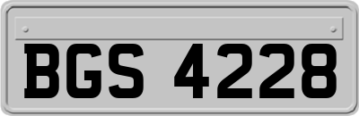 BGS4228