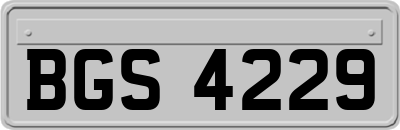 BGS4229