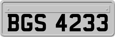 BGS4233