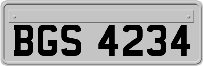 BGS4234