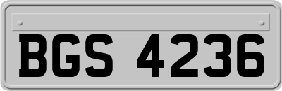 BGS4236