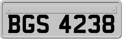 BGS4238
