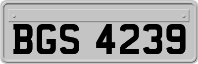 BGS4239