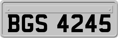 BGS4245
