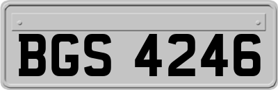 BGS4246