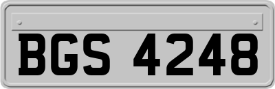BGS4248