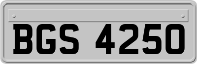 BGS4250