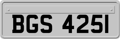 BGS4251
