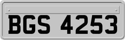 BGS4253