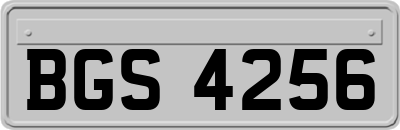 BGS4256