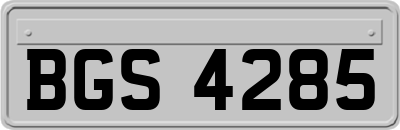 BGS4285