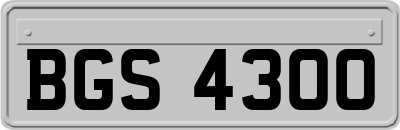 BGS4300