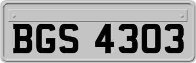 BGS4303
