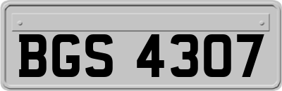BGS4307