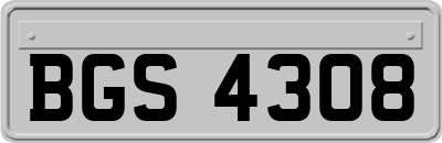 BGS4308