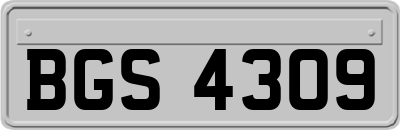 BGS4309