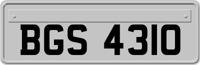 BGS4310