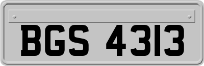 BGS4313