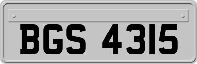 BGS4315