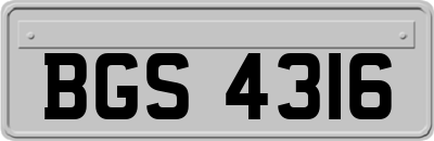 BGS4316
