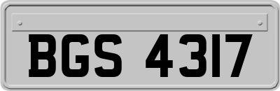 BGS4317