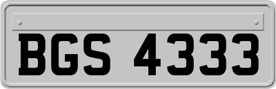 BGS4333