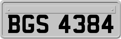 BGS4384