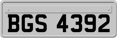 BGS4392