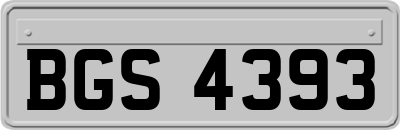 BGS4393
