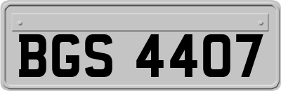 BGS4407